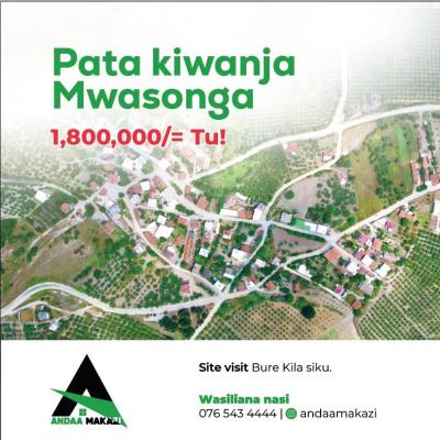 Plots for sale at Kigamboni, Dar Es Salaam