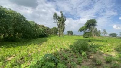 Kiwanja kinauzwa Kisongo, Arusha