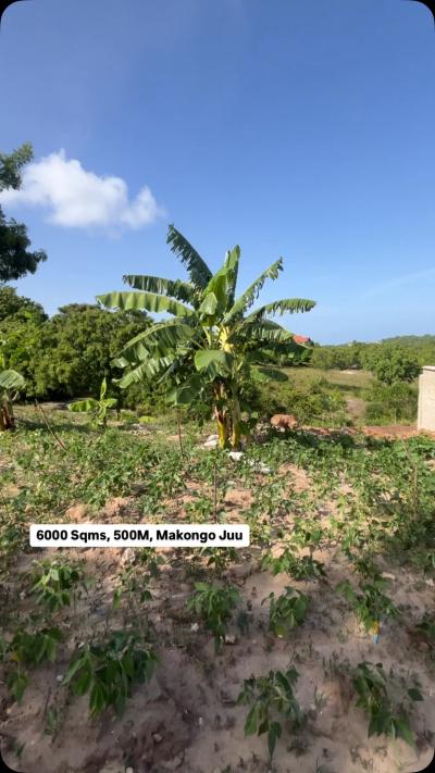 Plot for sale at Makongo, Dar Es Salaam