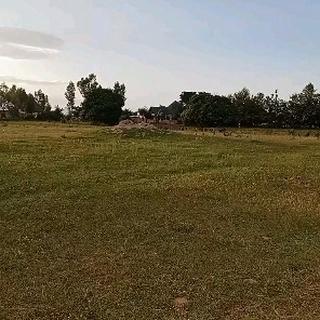 Plots for sale at Kisesa, Mwanza