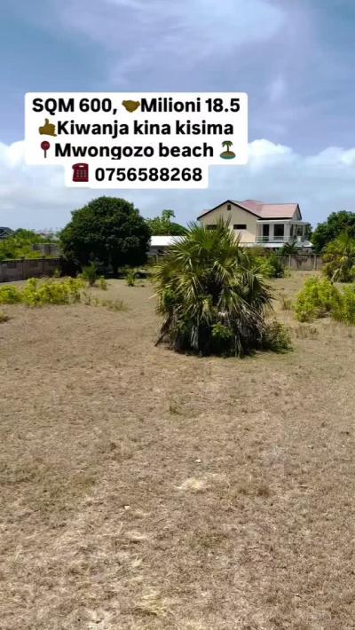 House for Rent at Mwongozo, Tabora