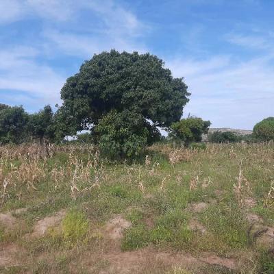 Plot for sale at Luchelele, Mwanza