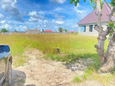 Plots for sale at Kigamboni, Dar Es Salaam