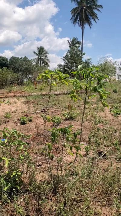 Plot for sale at Njia Panda, Kilimanjaro