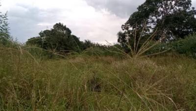 Plot for sale at Ruvu, Kilimanjaro