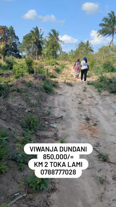 Viwanja vinauzwa Msingi, Singida