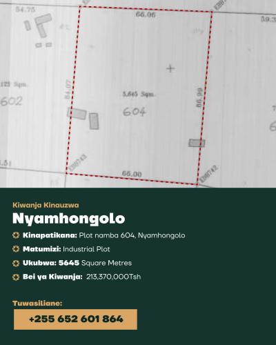 Plots for sale at Nyamhongolo, Mwanza