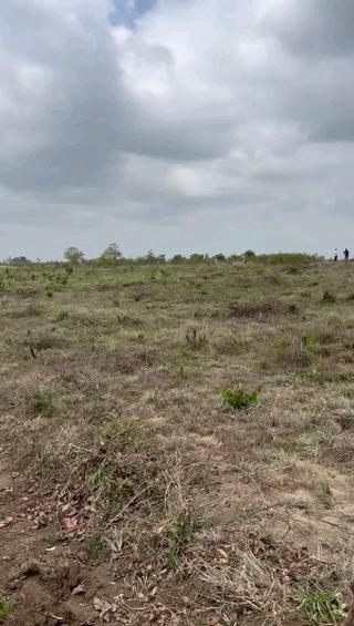 Plots for sale at Mbuyuni, Morogoro