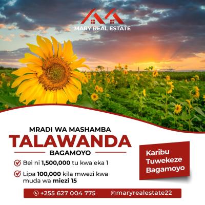 Plots for sale at Talawanda, Pwani