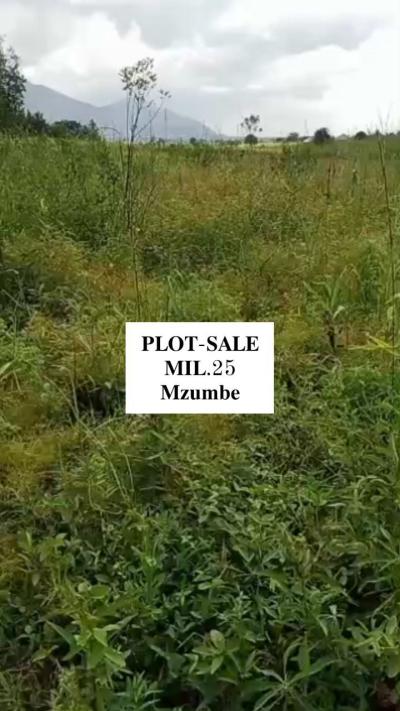 Plot for sale at Mzumbe, Morogoro