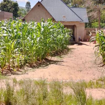 House for sale at Isakalilo, Iringa