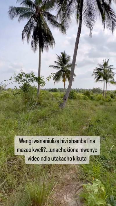 Shamba linauzwa Mkuranga, Pwani