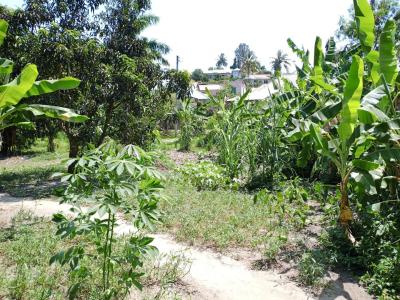 Plot for sale at Tambalale, Tabora