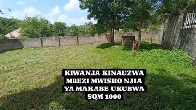 Plots for sale at Mbezi, Dar Es Salaam