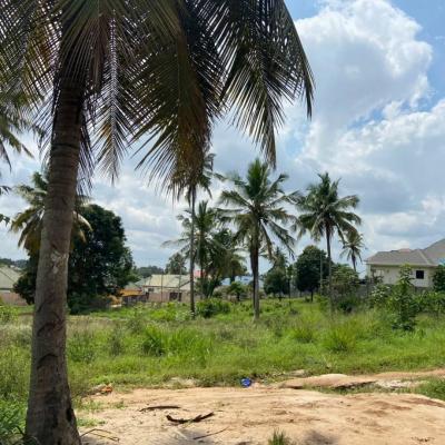 Plot for sale at Kinyerezi, Dar Es Salaam