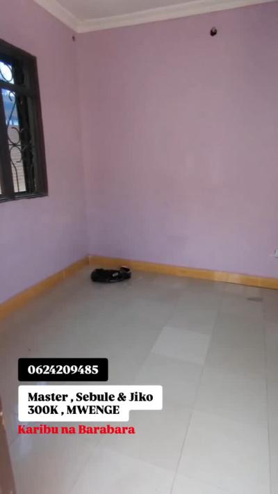 House for Rent at Mwenge, Dar Es Salaam