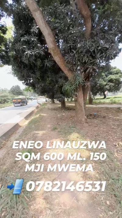 Plots for sale at Kigamboni, Dar Es Salaam