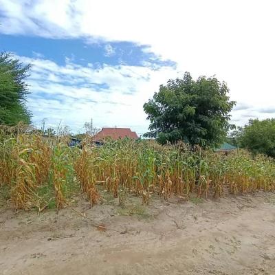 Plot for sale at Kibamba, Dar Es Salaam