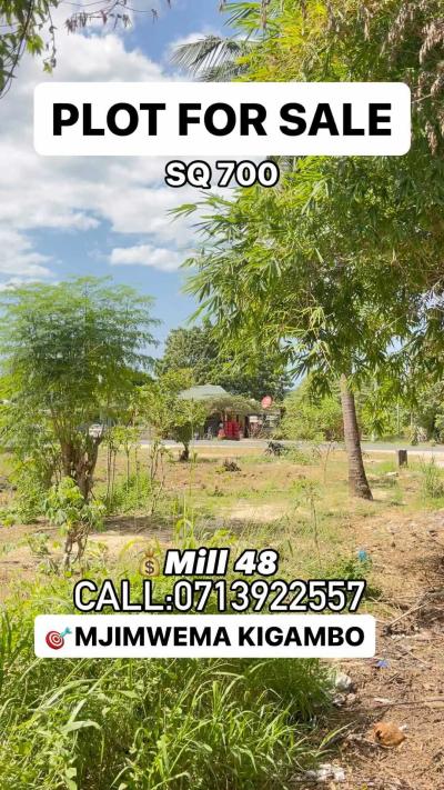 Plot for sale at Mjimwema, Dar Es Salaam