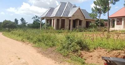 Plot for sale at Buhongwa, Mwanza