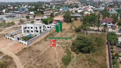 Plots for sale at Kiseke, Mwanza