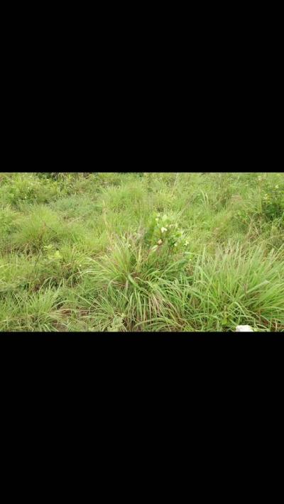 Plot for sale at Kibaha, Pwani