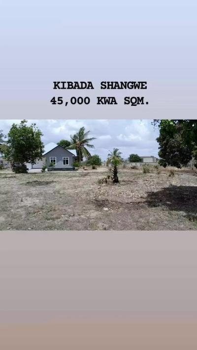 Plots for sale at Kibada, Dar Es Salaam