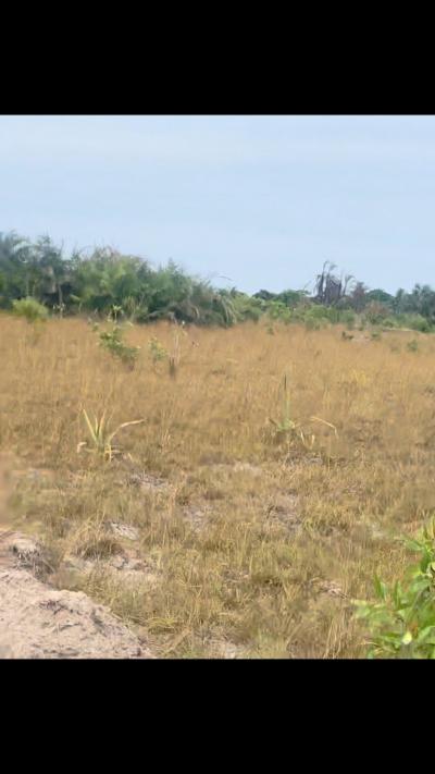 Viwanja vinauzwa Kigamboni, Dar Es Salaam