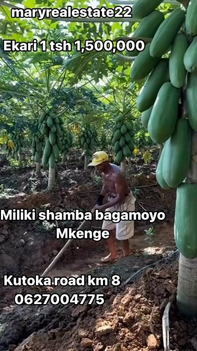 Viwanja vinauzwa Bagamoyo, Mbeya