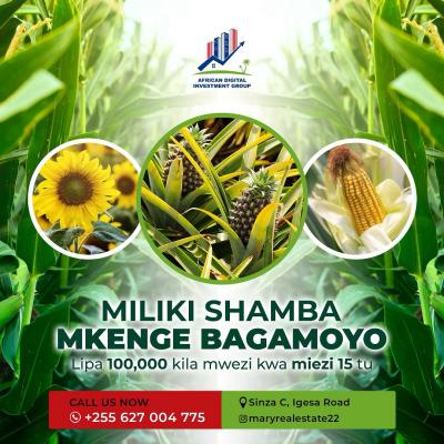 Farms for sale at Bagamoyo, Mbeya