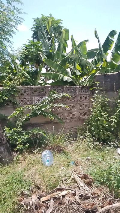 Plot for sale at Mbezi, Dar Es Salaam