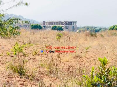 Plot for sale at Kiseke, Mwanza