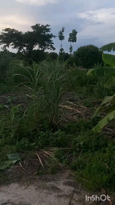 Plot for sale at Bara, Songwe