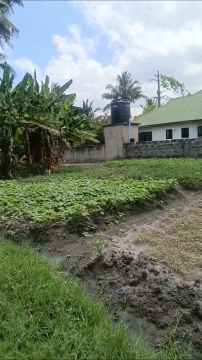 Plot for sale at Ukonga, Dar Es Salaam