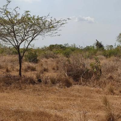 Farms for sale at Fukayosi, Pwani