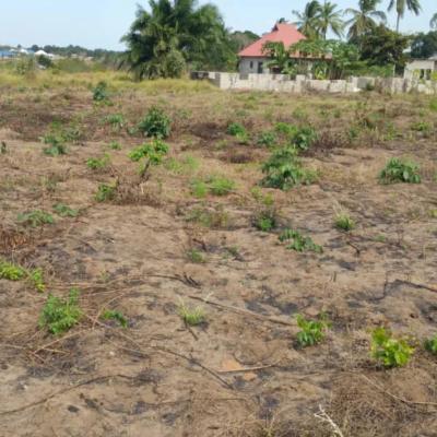 Plots for sale at Chanika, Dar Es Salaam