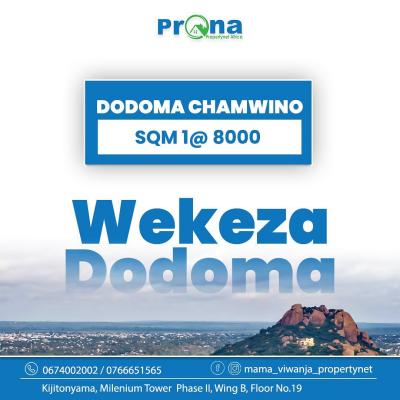 Viwanja vinauzwa Chamwino, Dodoma