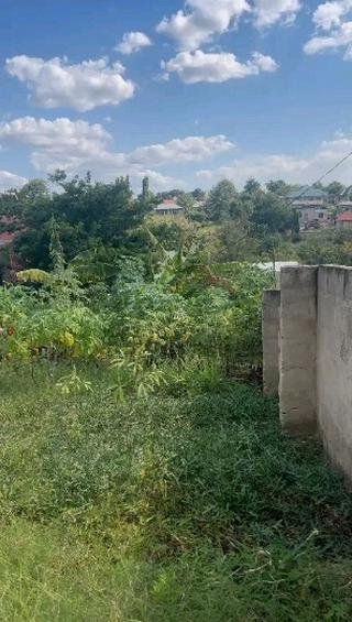 Plot for sale at Mwenge, Dar Es Salaam