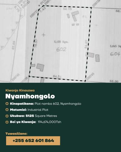 Plots for sale at Nyamhongolo, Mwanza