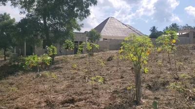 Plot for sale at Tambalale, Tabora