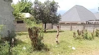 Plots for sale at Mbezi, Dar Es Salaam