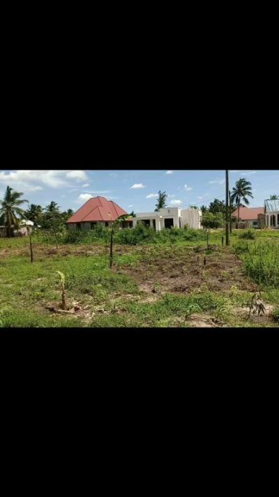 Plot for sale at Kigamboni, Dar Es Salaam