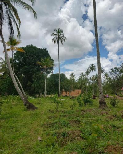 Plot for sale at Mwera, Tanga