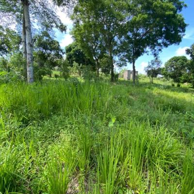 Plot for sale at Mbezi, Dar Es Salaam