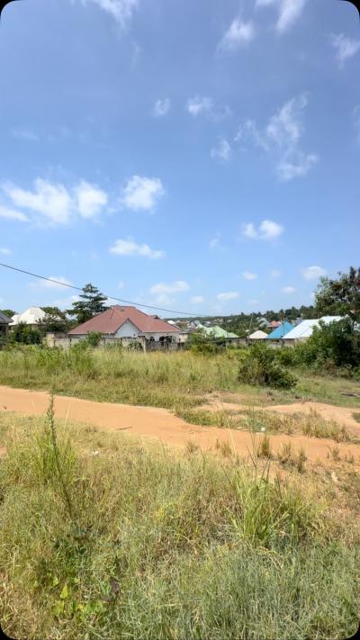 Plot for sale at Mbezi, Dar Es Salaam