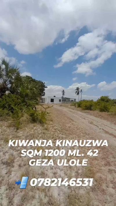 Plots for sale at Kigamboni, Dar Es Salaam