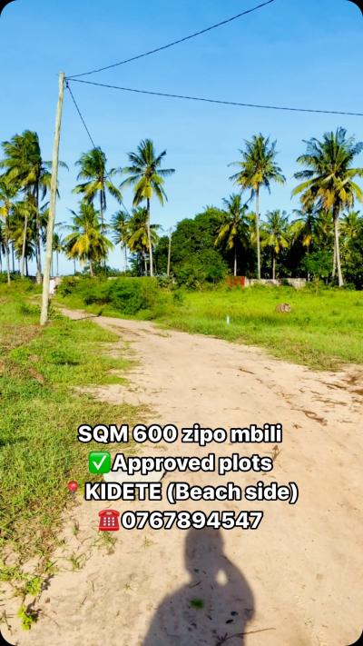 Plot for sale at Kigamboni, Dar Es Salaam