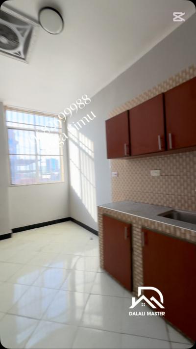 House/Apartment for Rent at Kijitonyama, Dar Es Salaam