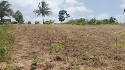 Kiwanja kinauzwa Goba, Dar Es Salaam