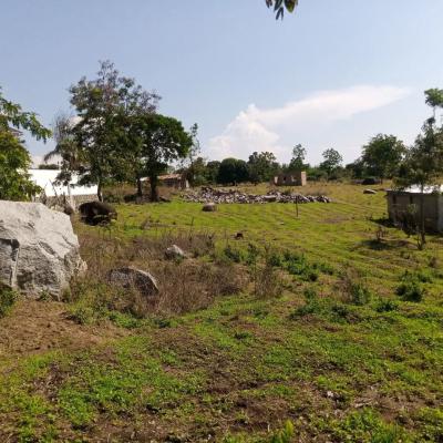 Plot for sale at Ibanda, Mbeya